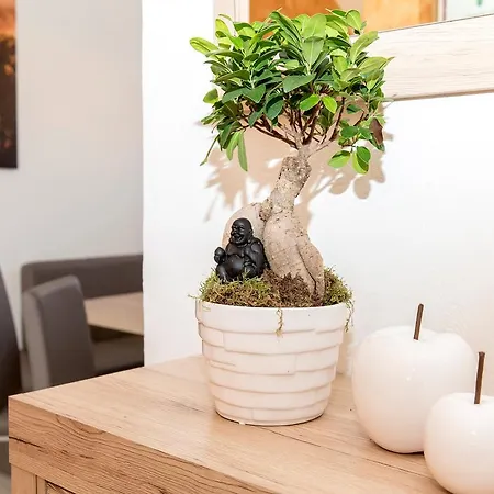 شقة Kleindienst *